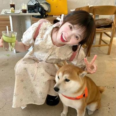 赎罪旅行